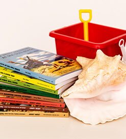 The Happy Hollisters: 8-Book Summer Vacation Collection (save over 20%!)