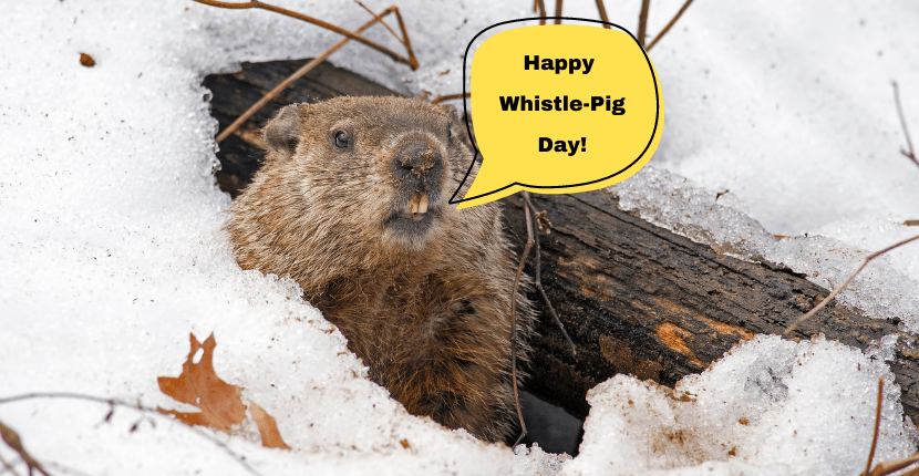 groundhog-day-or-whistle-pig-day