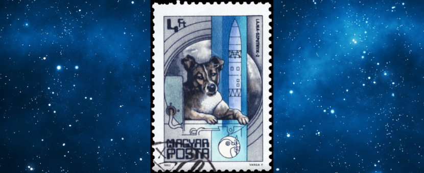 animal-astronauts