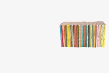Save on Happy Hollisters Book Bundles