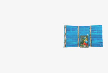 Save on Classic Hardy Boys Book Bundles